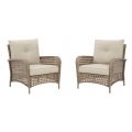 Braylee Lounge Chair (Set of 2)