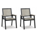 Mount Valley Outdoor Arm Chair (Set Of 2)