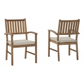 Janiyah Outdoor Arm Chair (Set of 2)